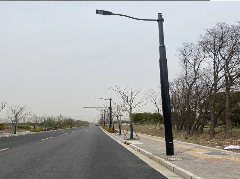 隆尧县上海综合杆 太阳能路灯工程